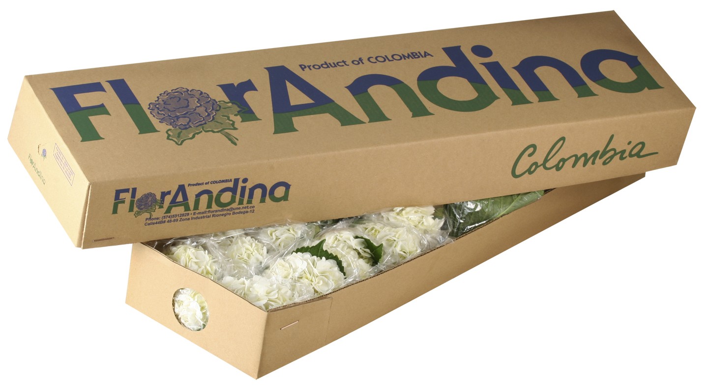 Caja Flores White