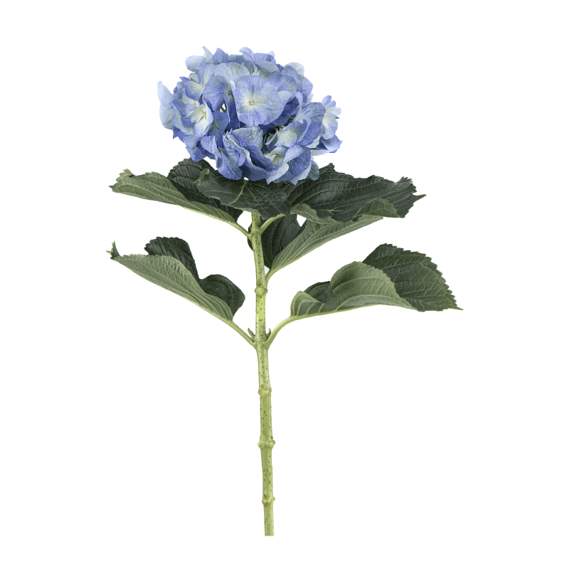 Blue-Big-Petal